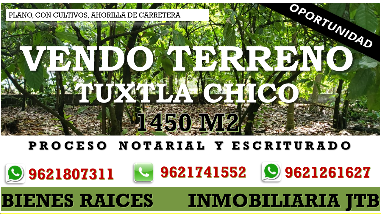 <span style="font-weight: bold;">TERRENOS</span> <br>
